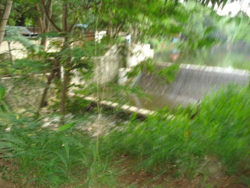 DSC03805_1